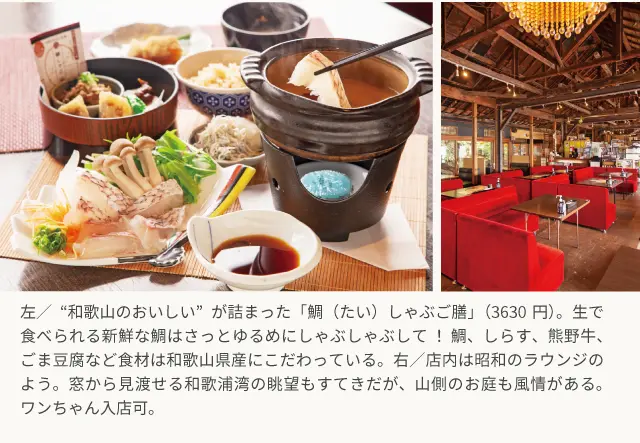 和歌山のおいしい”が詰まった「鯛（たい）しゃぶご膳」（3630円）。生で食べられる新鮮な鯛はさっとゆるめにしゃぶしゃぶして ！ 鯛、しらす、熊野牛、ごま豆腐など食材は和歌山県産にこだわっている。